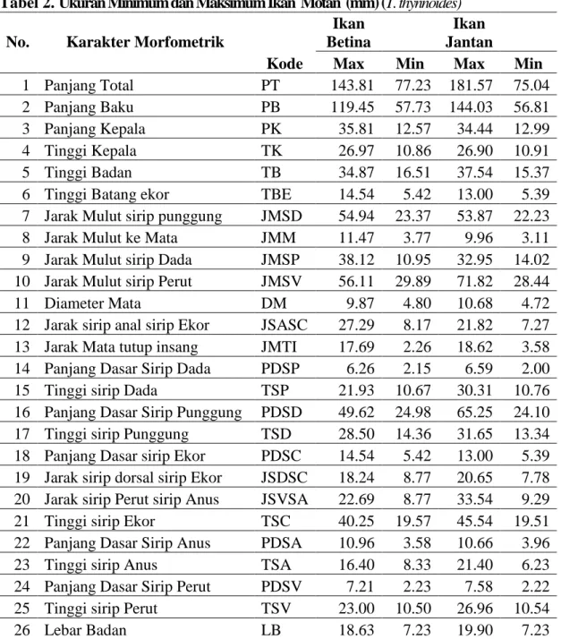 Tabel 2. Ukuran Minimum dan Maksimum Ikan  Motan  (mm) (T. thynnoides)  No.  Karakter Morfometrik 