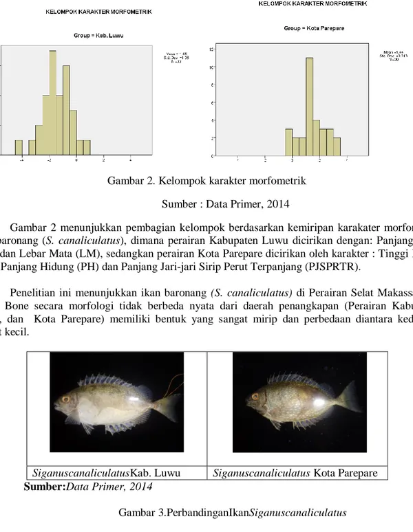 Gambar  2  menunjukkan  pembagian  kelompok  berdasarkan  kemiripan  karakater  morfometrik  ikan  baronang  (S