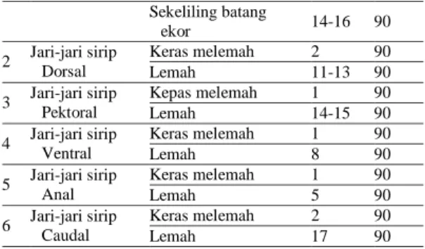 Tabel 5. Perhitungan data meristik  ikan lelan (O.wandersii) 