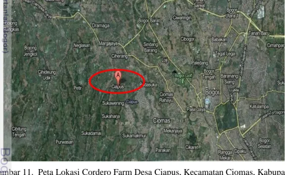 Gambar 11.  Peta Lokasi Cordero Farm Desa Ciapus, Kecamatan Ciomas, Kabupaten  Bogor Wilayah Tengah, Jawa Barat 