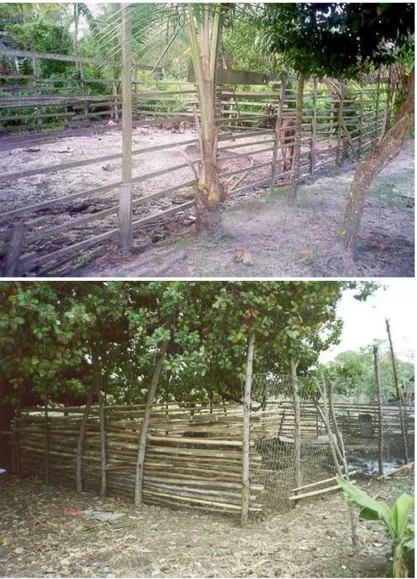Gambar  14.  Kandang  yang  sangat  sederhana  untuk  rusa  sambar  (atas) maupun rusa timor (bawah) (foto: G