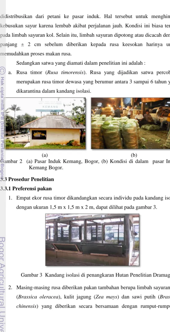Gambar 2  (a) Pasar Induk Kemang, Bogor, (b) Kondisi di dalam  pasar Induk  Kemang Bogor
