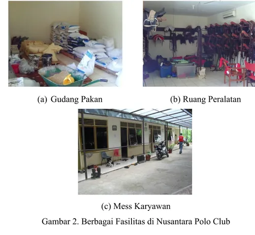 Gambar 2. Berbagai Fasilitas di Nusantara Polo Club  Pengadaan Kuda 