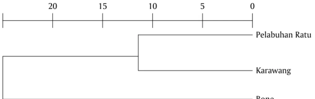 Gambar 2. Dendrogram jarak genetik udang galah (Macrobrachium rosenbergii) dari populasi Pelabuhan Ratu, Karawang, dan Bone