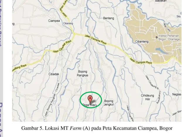 Gambar 5. Lokasi MT Farm (A) pada Peta Kecamatan Ciampea, Bogor  Kandang  sapi  PO  terdiri  atas  kandang  pembibitan  dan    penggemukan