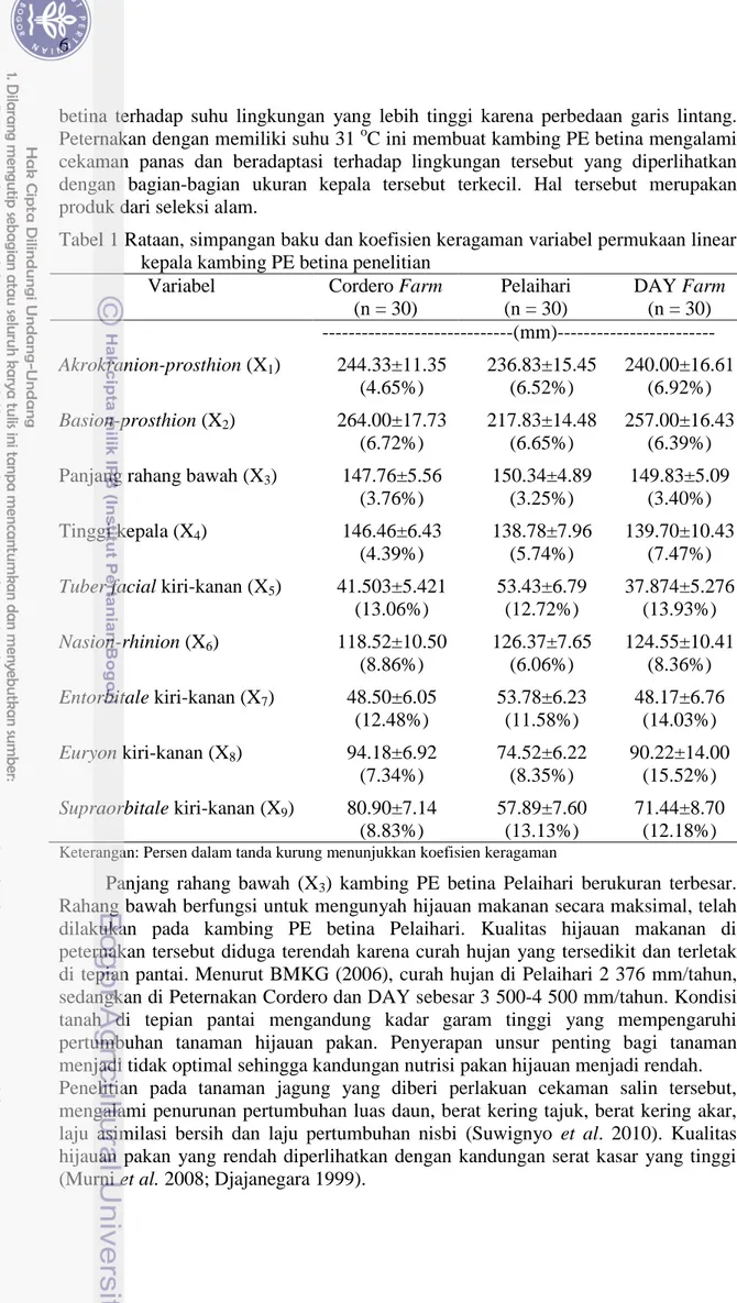 Tabel 1 Rataan, simpangan baku dan koefisien keragaman variabel permukaan linear  kepala kambing PE betina penelitian  