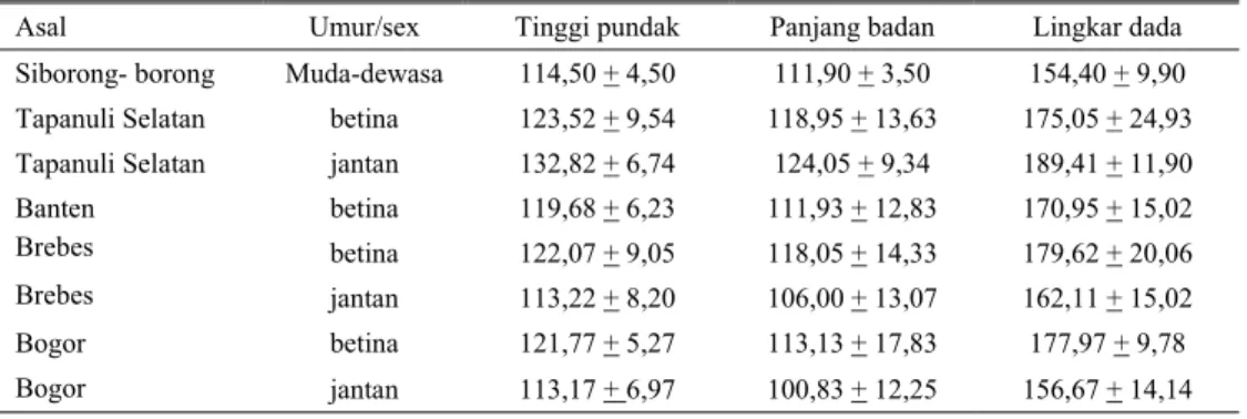 Tabel 1. Rataan ukuran tubuh kerbau pada beberapa daerah (cm) 