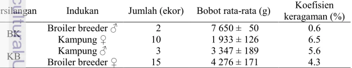 Tabel 1  Jumlah, bobot, dan koefisien keragaman indukan ayam   Persilangan  Indukan  Jumlah (ekor)  Bobot rata-rata (g)  Koefisien 