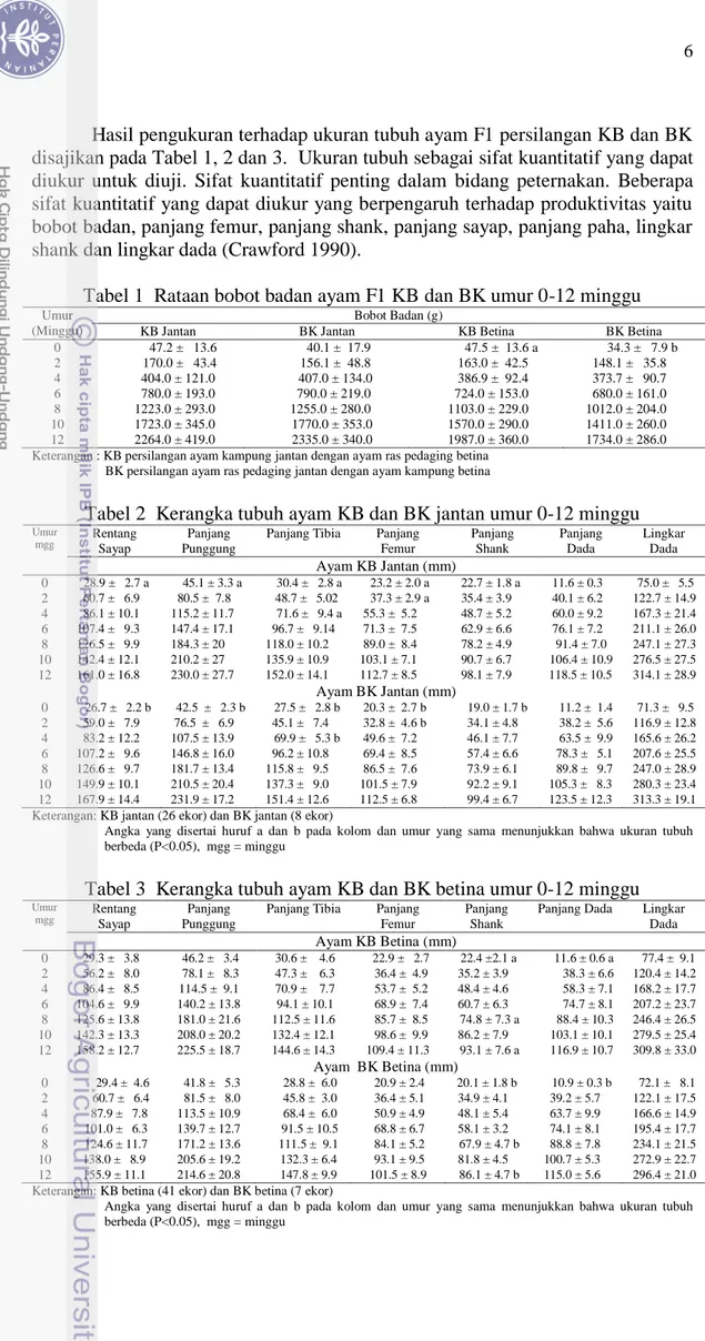 Tabel 1  Rataan bobot badan ayam F1 KB dan BK umur 0-12 minggu 