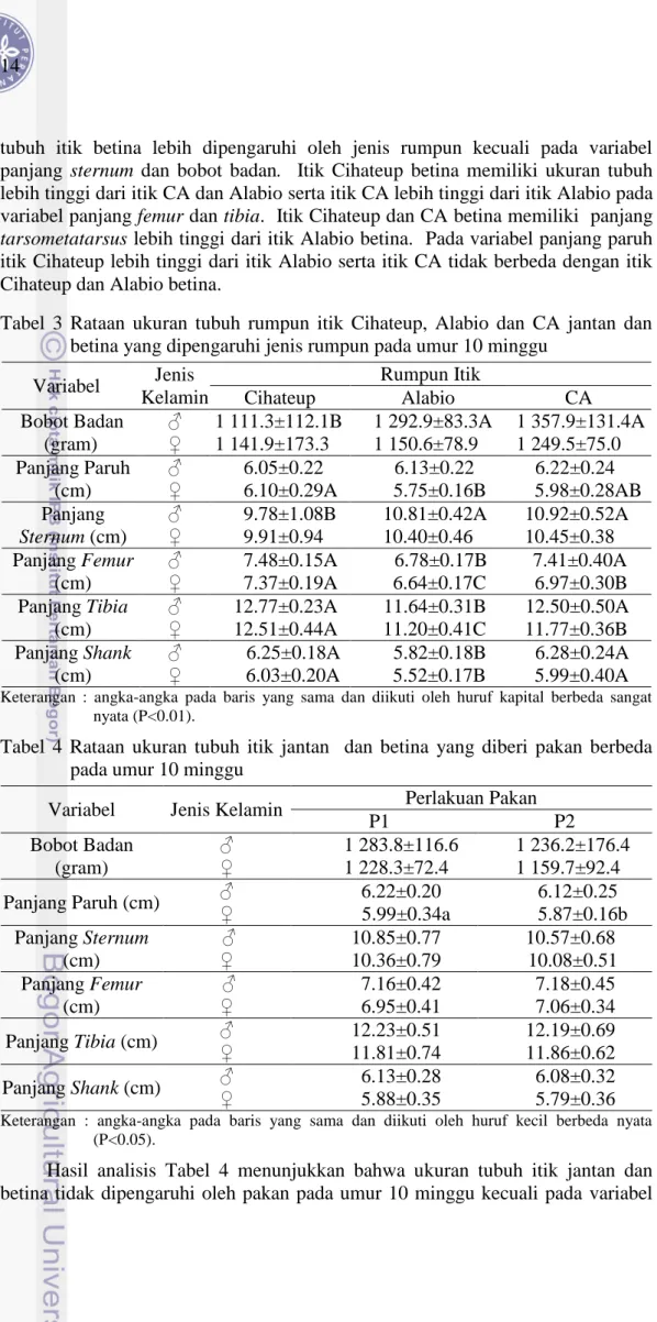 Tabel  3  Rataan  ukuran  tubuh  rumpun  itik  Cihateup,  Alabio  dan  CA  jantan  dan  betina yang dipengaruhi jenis rumpun pada umur 10 minggu 