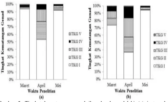 Gambar  5.  Tingkat  kematangan  gonad  ikan  kembung  lelaki  (a)  jantan  dan                                (b) betina selama penelitian