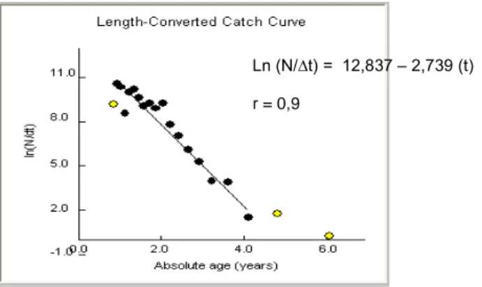 Gambar 8. Length Converted Catch Curve kepiting bakau