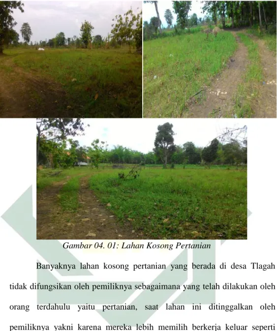 Gambar 04. 01: Lahan Kosong Pertanian 