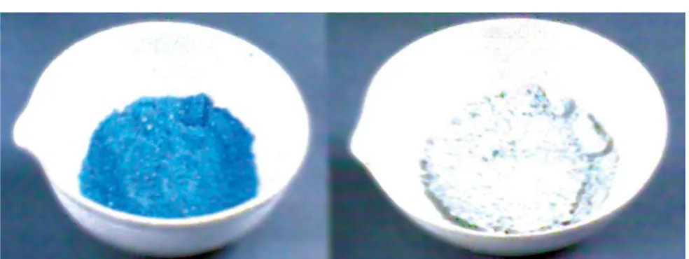 Gambar 3.11 CuSO 4 .5 H 2 O (kiri) dan CuSO 4  (kanan). Sumber: Chemistry, The Molecular Nature of Matter &amp; Change, Martin S