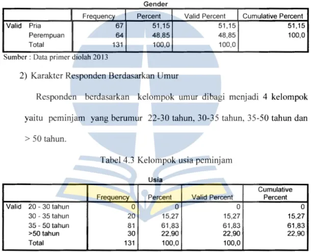 Tabel 4.3  Kelompok usia peminjam 