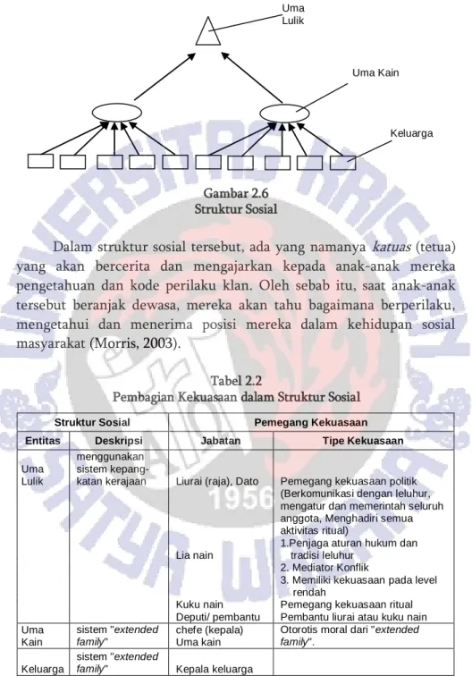 Gambar 2.6   Struktur Sosial 