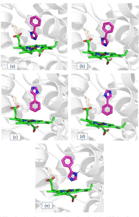 Gambar 2.3 Visualisasi hasil penambatan ulang ligan ko-kristal PIM (a) Pose 1 (b) Pose 2   (c) Pose 3 (d) Pose 4 (e) Pose 5 