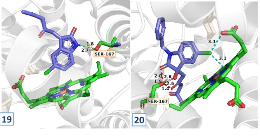 Gambar 2.4 Hasil visualisasi penambatan silang ligan 1-20 