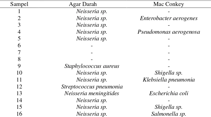 Tabel 4.  Hasil Identifikasi Bakteri 