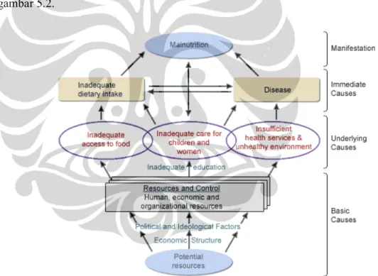 Gambar 5.2. Model Konseptual Perkembangan Anak yang berguna dalam  analisis prevensi dan control malnutrisi (Adaptasi dari ACC/SCN 