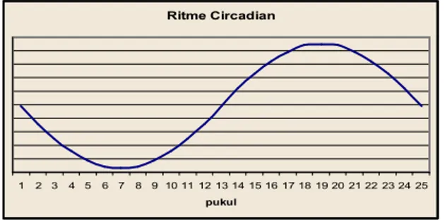Gambar 2.1  Grafik Ritme Circadian 