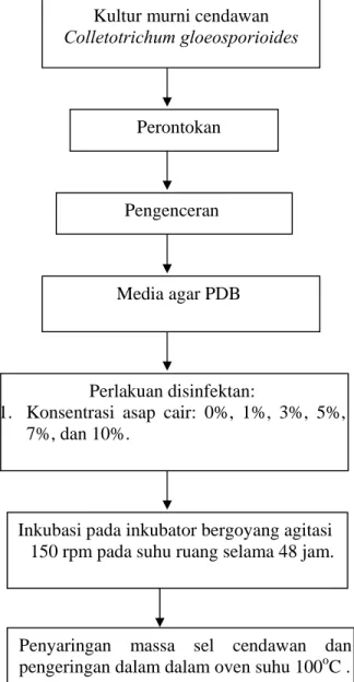 Gambar 1. Diagram alir penelitian uji aktivitas antimikroba asap cair. 