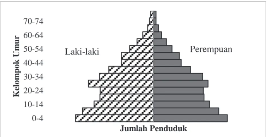 Gambar 3.1.1 Piramida Penduduk Kabupaten Raja Ampat, 2013  Sumber: Diolah dari BPS Kabupaten Raja Ampat (2014) 