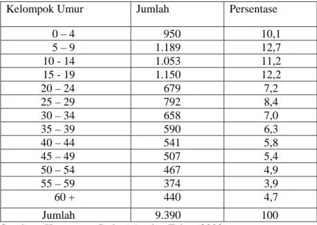 Tabel 2.1.  Penduduk Kecamatan Lingga Utara Menurut Kelompok  Umur,  Tahun 2003 