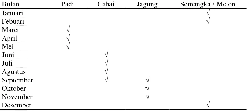 Tabel 1 Pola rotasi tanaman di Kecamatan Gondang dan Kecamatan Pace 
