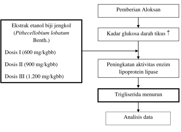 Gambar 2. Kerangka konsep 