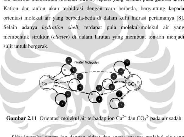 Gambar 2.11  Orientasi molekul air terhadap ion Ca 2+  dan CO 3 2-  pada air sadah 