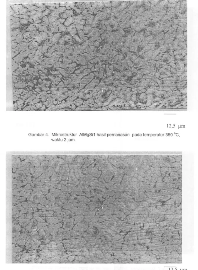 Gambar 4. Mikrostruktur AIMgSi1 hasil pemanasan pad a temperatur 350 DC,