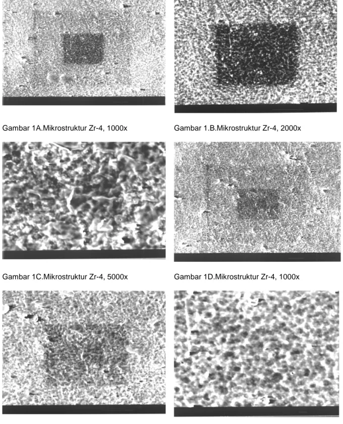 Gambar 1E.Mikrostruktur Zr-4, 2000x  Gambar 1F.Mikrostruktur Zr-4, 5000x 