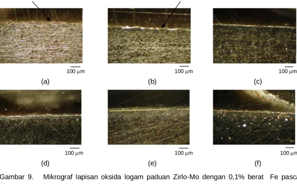 Gambar  9.      Mikrograf  lapisan  oksida  logam  paduan  Zirlo-Mo  dengan  0,1%  berat    Fe  pasca  uji  korosi dalam media uap air jenuh pada temperatur 300 C selama 48 jam