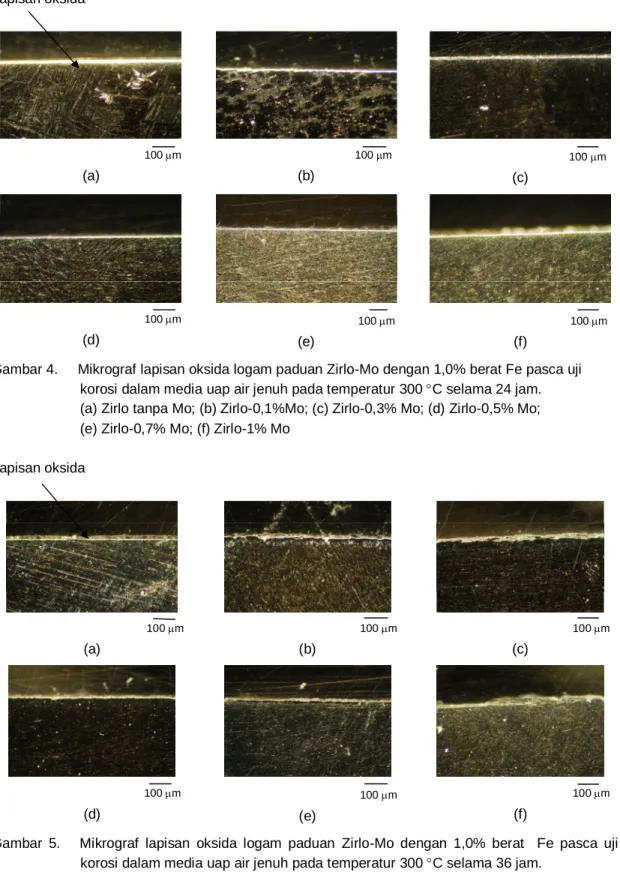 Gambar 4.     Mikrograf lapisan oksida logam paduan Zirlo-Mo dengan 1,0% berat Fe pasca uji   korosi dalam media uap air jenuh pada temperatur 300 C selama 24 jam
