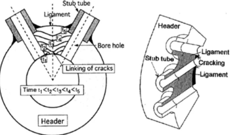 Gambar 2.6. Ligament dan tube stub pada header [13].  