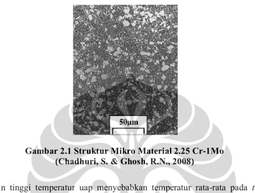Gambar 2.1 Struktur Mikro Material 2.25 Cr-1Mo   (Chadhuri, S. &amp; Ghosh, R.N., 2008) 