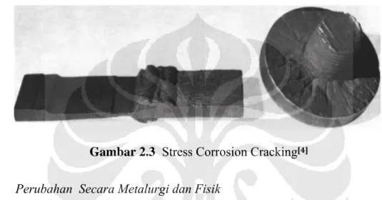 Gambar 2.3  Stress Corrosion Cracking [4]