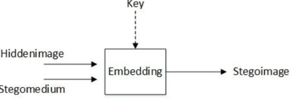 Gambar 2.12 Ilustrasi Embedding 