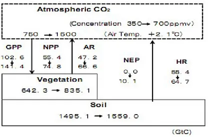 Gambar 2.5.1. Perubahan keseimbangan dan stok karbon dari waktu sekarang ke masa yang akan  datang  (setelah  70  tahun  di  bawah  dua  kali  lipat  konsentrasi  atmosfer  CO 2  dan  suhu udara yang lebih tinggi yaitu 2,1 ºC)  telah diestimasi dengan meng