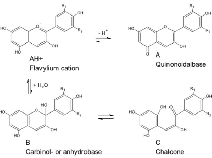 Gambar 11 Struktur antosianin pada pH berbeda 