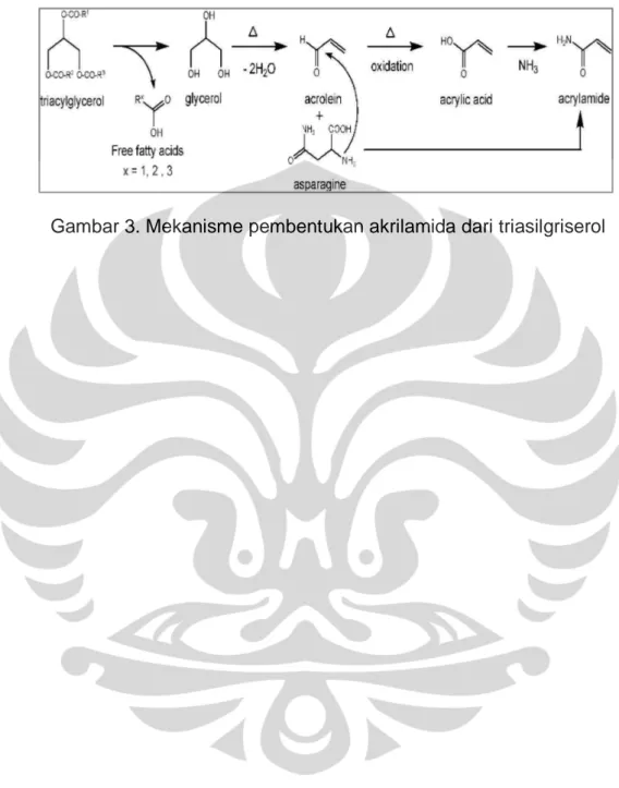 Gambar 3. Mekanisme pembentukan akrilamida dari triasilgriserol  