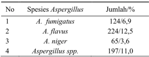 Tabel 4. Persentase hasil identifikasi lanjutan  sebagian Aspergillus 