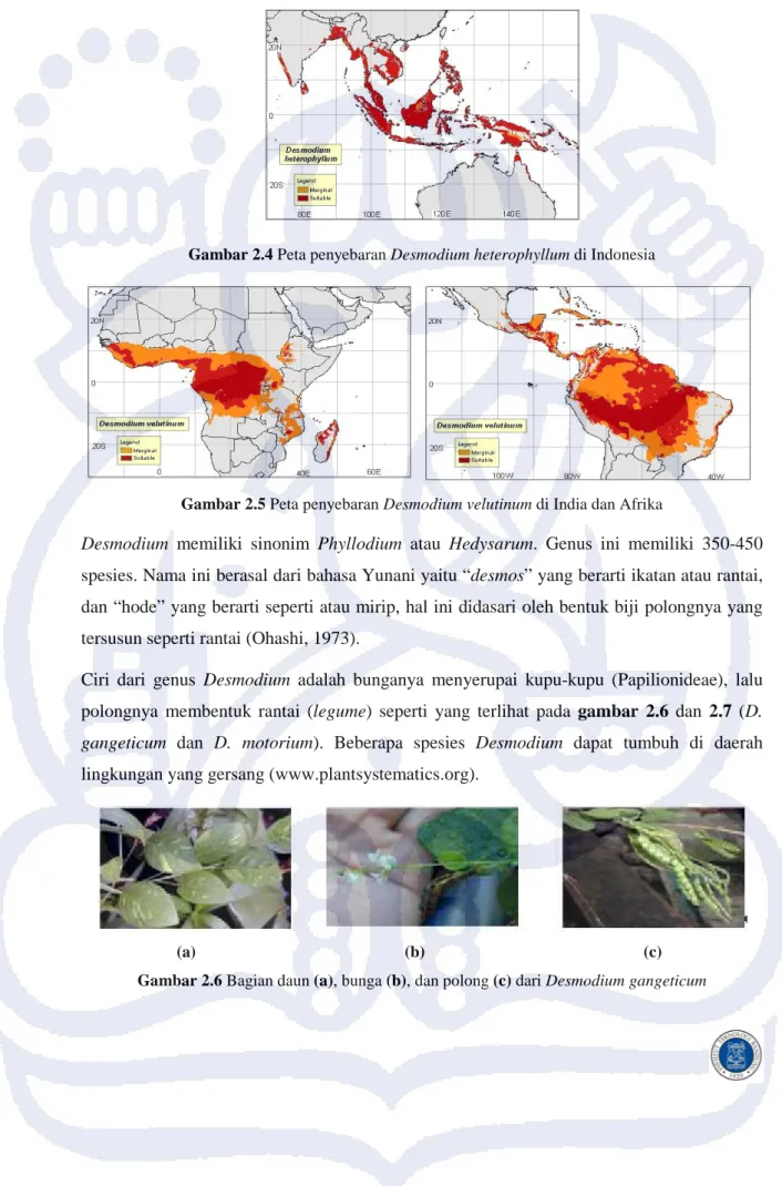 Gambar 2.4 Peta penyebaran Desmodium heterophyllum di Indonesia