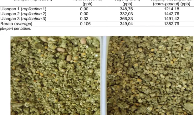 Tabel 2 menunjukkan bahwa media  jagung+kacang tanah menghasilkan kadar  aflatoksin yang lebih tinggi yaitu 1382,79 ppb  dibandingkan dengan media jagung 349,04  ppb