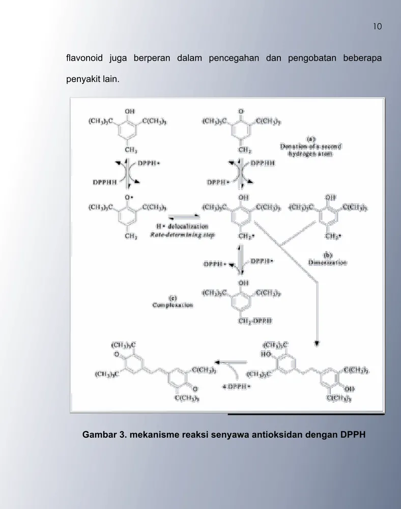 Gambar 3. mekanisme reaksi senyawa antioksidan dengan DPPH