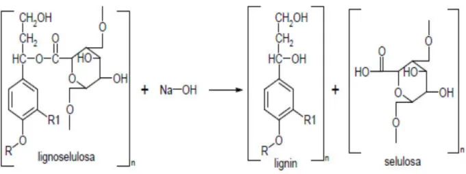 Gambar 1. Mekanisme pemutusan ikatan antara lignin dan selulosa  (Sumber: Harni dkk, 2015) 
