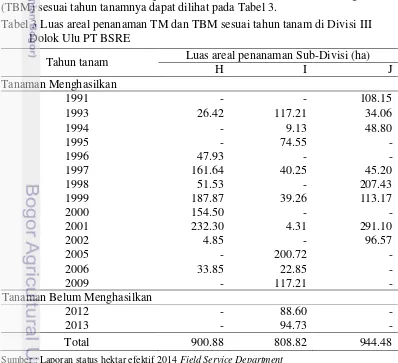 Tabel 3 Luas areal penanaman TM dan TBM sesuai tahun tanam di Divisi III 