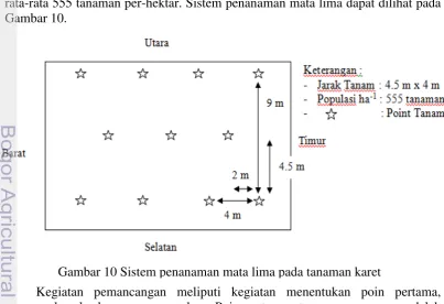 Gambar 10.  