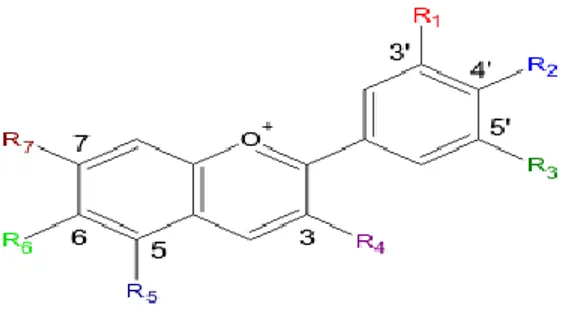 Gambar 5. Struktur kimia antosianin  (Zain, 2013) 